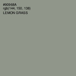 #90968A - Lemon Grass Color Image